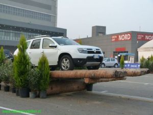 Autoshow Bologna