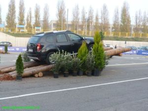 Autoshow Bologna