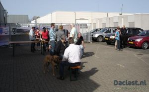 puzzelrit2011