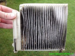 Pollenfilter