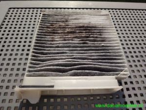 Pollenfilter