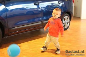 ABD Dacia Puzzelrit