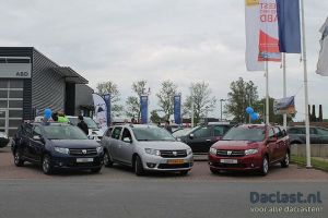 ABD Dacia Puzzelrit