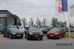 ABD Dacia Puzzelrit