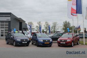 ABD Dacia Puzzelrit