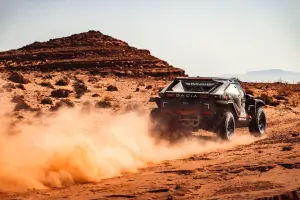 Sandriders