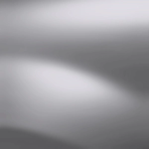 Gris Platine (Metallic)