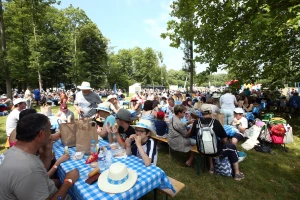Dacia Picnic 2018