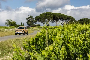 Spring Electric 2024 Part 3